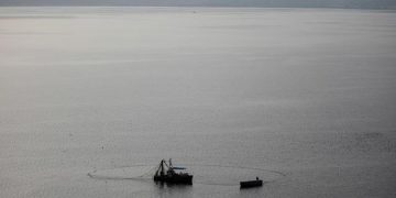 34 migrants dead after boat capsizes off Djibouti: IOM