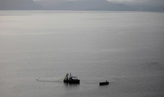 34 migrants dead after boat capsizes off Djibouti: IOM