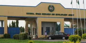 Nigeria needs spy satellites to tackle insecurity: NASRDA