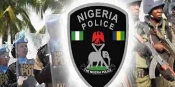 Enugu police storm criminal hideout, recover firearms