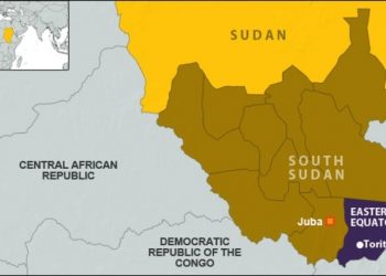 South Sudan Road Attacks Leave Nearly 30 Dead