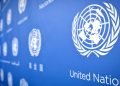 UN suspends humanitarian operations in Damasak, Dikwa after terror attack