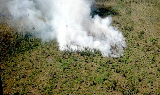 Forest fires rage in southern Greece, villages evacuated