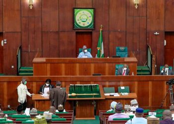 House moves to scrap activities of Abuja task forces
