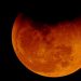 Eclipse causes ‘blood moon’ this week in U.S. skies