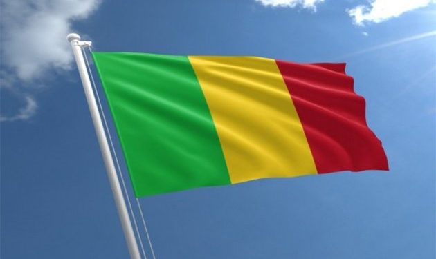ECOWAS suspends Mali’s membership over military coup