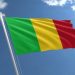 ECOWAS suspends Mali’s membership over military coup