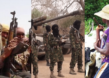 U.S. should focus on northern Nigeria: Ambassador Thomas-Greenfield