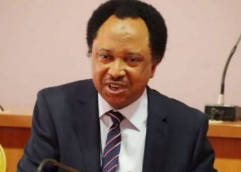 Gulak: Forces trying to trigger ethnic war in Nigeria – Shehu Sani