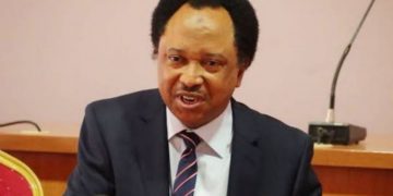 Gulak: Forces trying to trigger ethnic war in Nigeria – Shehu Sani