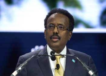 Deal ‘in principle’ reached for elections: Somali diplomat