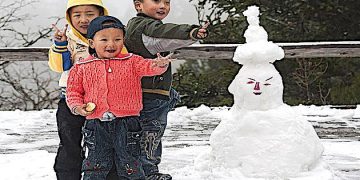 China to allow 3 babies per family in major policy shift