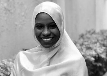 Zainab Aliyu: Diaspora Commission seeks NDLEA support for prosecution of drug cartel