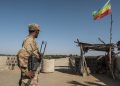 Ethiopia UN envoy says Eritrea troops to leave Tigray ‘soon’
