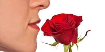 French study says smell returns to Covid patients within 1 year
