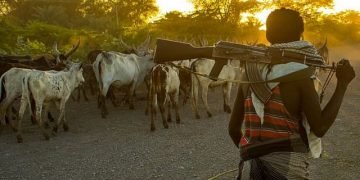 Herdsmen attack Kwara APC spokesman’s farm, several injured