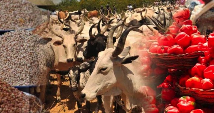 Food, cattle dealers threaten to cut off supply to South-East, South-South