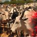 Food, cattle dealers threaten to cut off supply to South-East, South-South