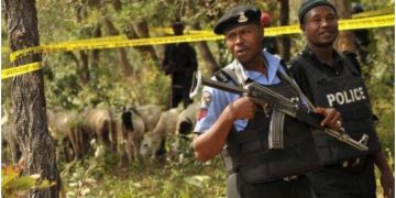How 13-year-old boy killed two bandits leaders in Katsina forest