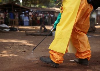 WHO Declares End to Second Ebola Outbreak in Guinea