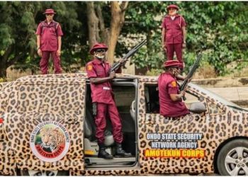 Insecurity: Amotekun raids black spots, arrests 400 suspects in Ondo