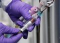 New blood test confirmed to accurately screen for cancers