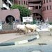 FCTA bans rearing of cows, other livestock in Abuja residential areas