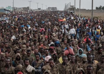 Rebel Forces Launch New Offensive in Ethiopia’s Tigray Region