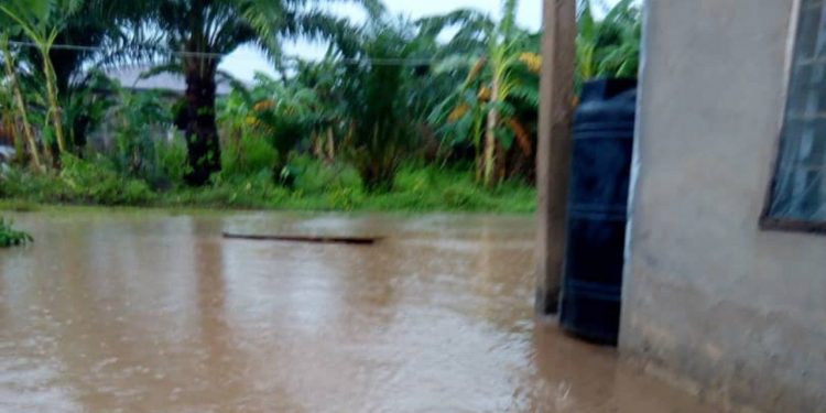 Scores dislodged, properties destroyed as flood wreaks havoc in Ekiti