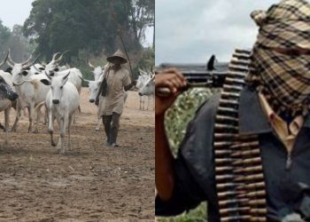 Many feared dead, others in critical condition as herdsmen attack Enugu community
