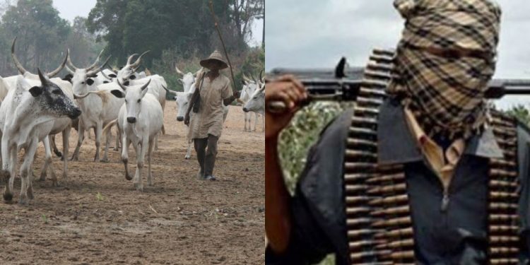Many feared dead, others in critical condition as herdsmen attack Enugu community