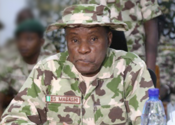 Nigeria’s security compromised by northerners, agencies: Defence Minister