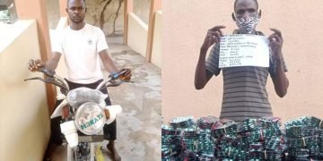 NDLEA arrests Anambra drug kingpin, recovers 548,000 tramadol tablets
