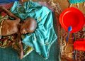 More Than 2 Million in Niger Face Humanitarian Crisis, UN Agency Says