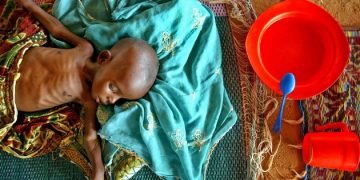 More Than 2 Million in Niger Face Humanitarian Crisis, UN Agency Says