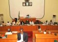 Niger Assembly passes bill to arm vigilante Corps