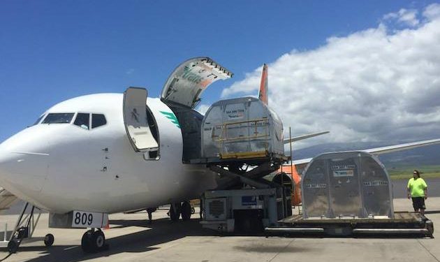 Pilots rescued after Boeing 737 cargo plane makes water landing