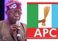 Tinubu’s leadership not known to APC constitution: Lagos faction