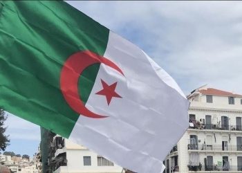 Algeria decides to hold local elections on Nov. 27