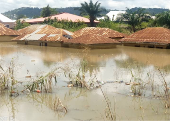 Adamawa: 66 houses, 150 farmlands destroyed by flood