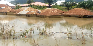Adamawa: 66 houses, 150 farmlands destroyed by flood
