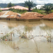 Adamawa: 66 houses, 150 farmlands destroyed by flood