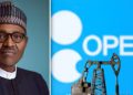 OPEC congratulates Buhari on signing PIB into law