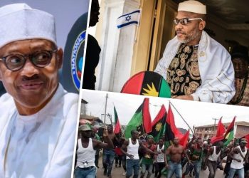 Biafra: IPOB are thieves not freedom fighters, says Buhari