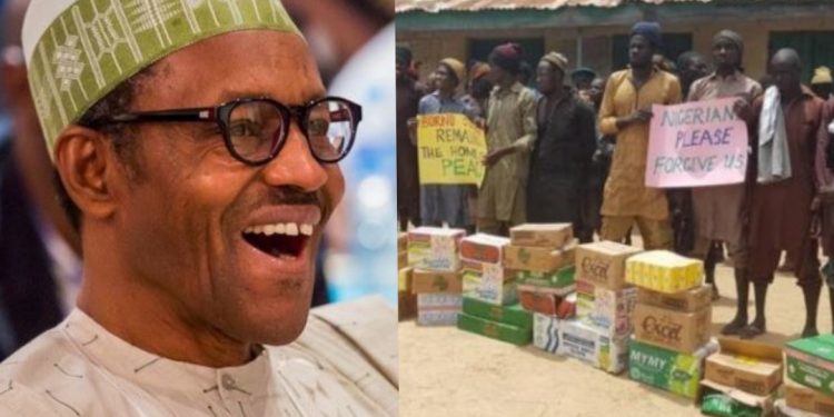 Buhari regime tells U.S. Nigerian troops do not violate human rights