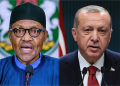 Wildfires: Buhari offers to help Turkey