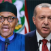 Wildfires: Buhari offers to help Turkey