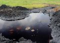 Delta lawmakers summon Sterling Oil over spill, toxic waste