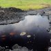 Delta lawmakers summon Sterling Oil over spill, toxic waste