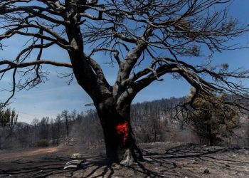 Wildfires rage in several countries as heatwave hits Southern Europe